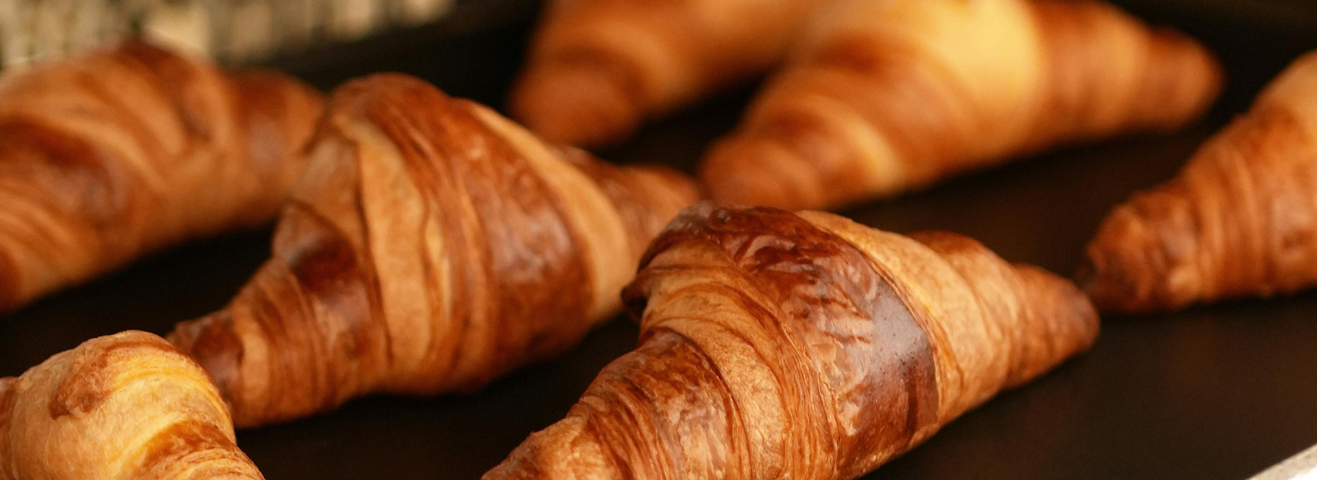 Packaging World - Web Elements